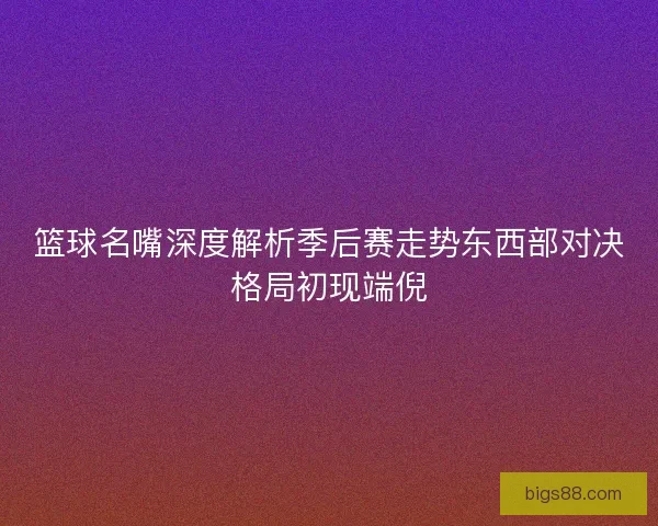 篮球名嘴深度解析季后赛走势东西部对决格局初现端倪