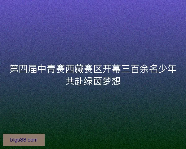第四届中青赛西藏赛区开幕三百余名少年共赴绿茵梦想